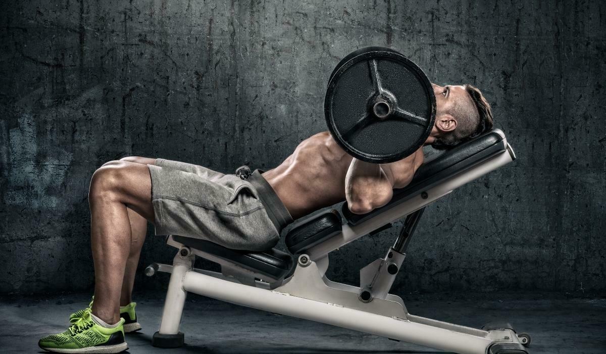 Who Invented the Bench Press?