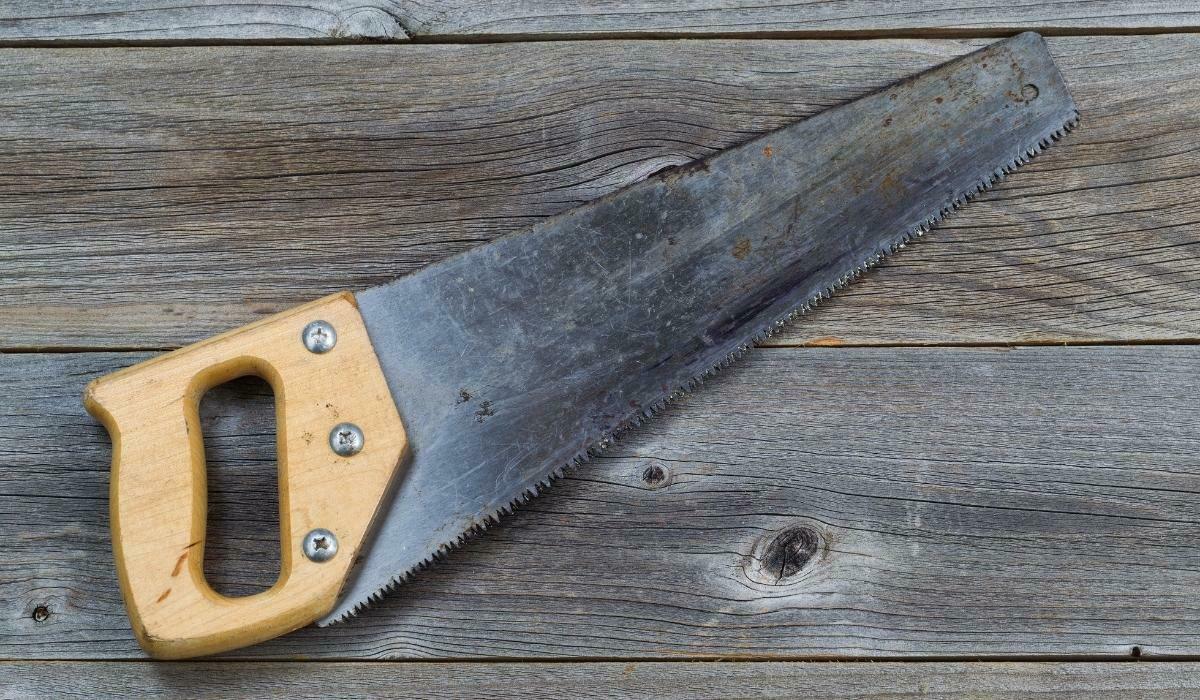 Who Invented the Saw (and Why)