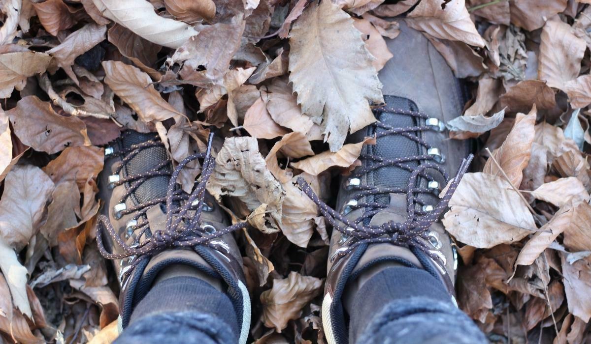 Who Invented the First Shoe (And When)